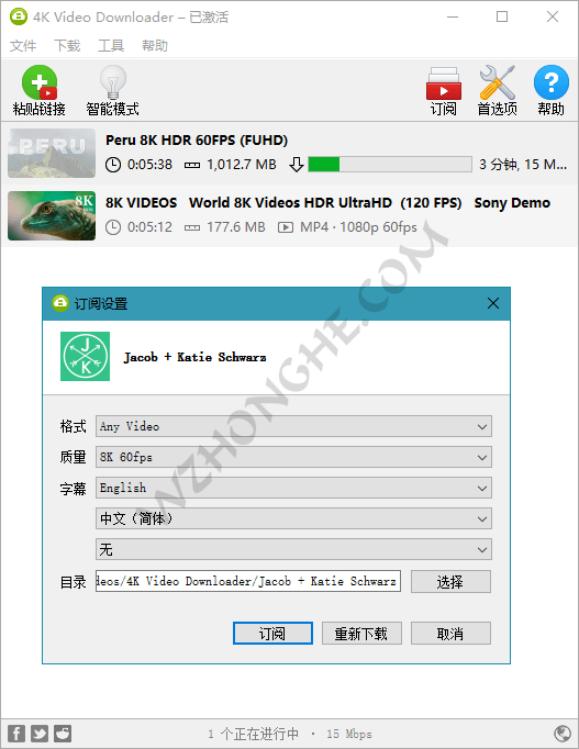 4K Video Downloader - 无中和wzhonghe.com -2