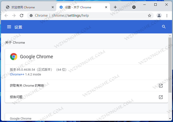 Google Chrome 谷歌浏览器 - 无中和wzhonghe.com -2