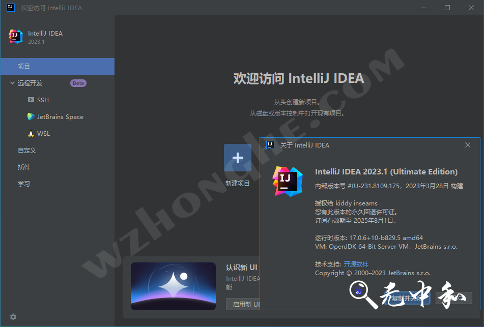 IntelliJ IDEA 2023 - 无中和wzhonghe.com -2