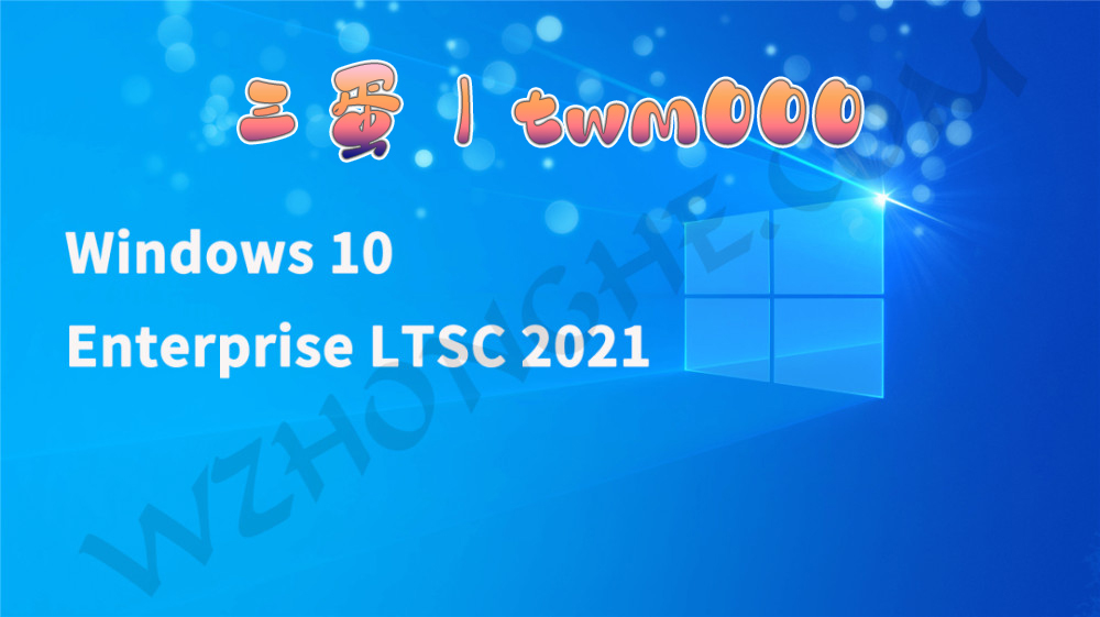 三蛋 Windows 10 LTSC 2021 - 无中和wzhonghe.com
