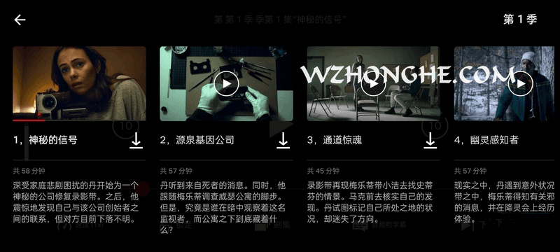 奈飞 Netflix - 无中和wzhonghe.com