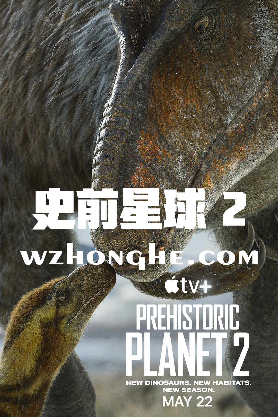 史前星球2 - 无中和wzhonghe.com -1