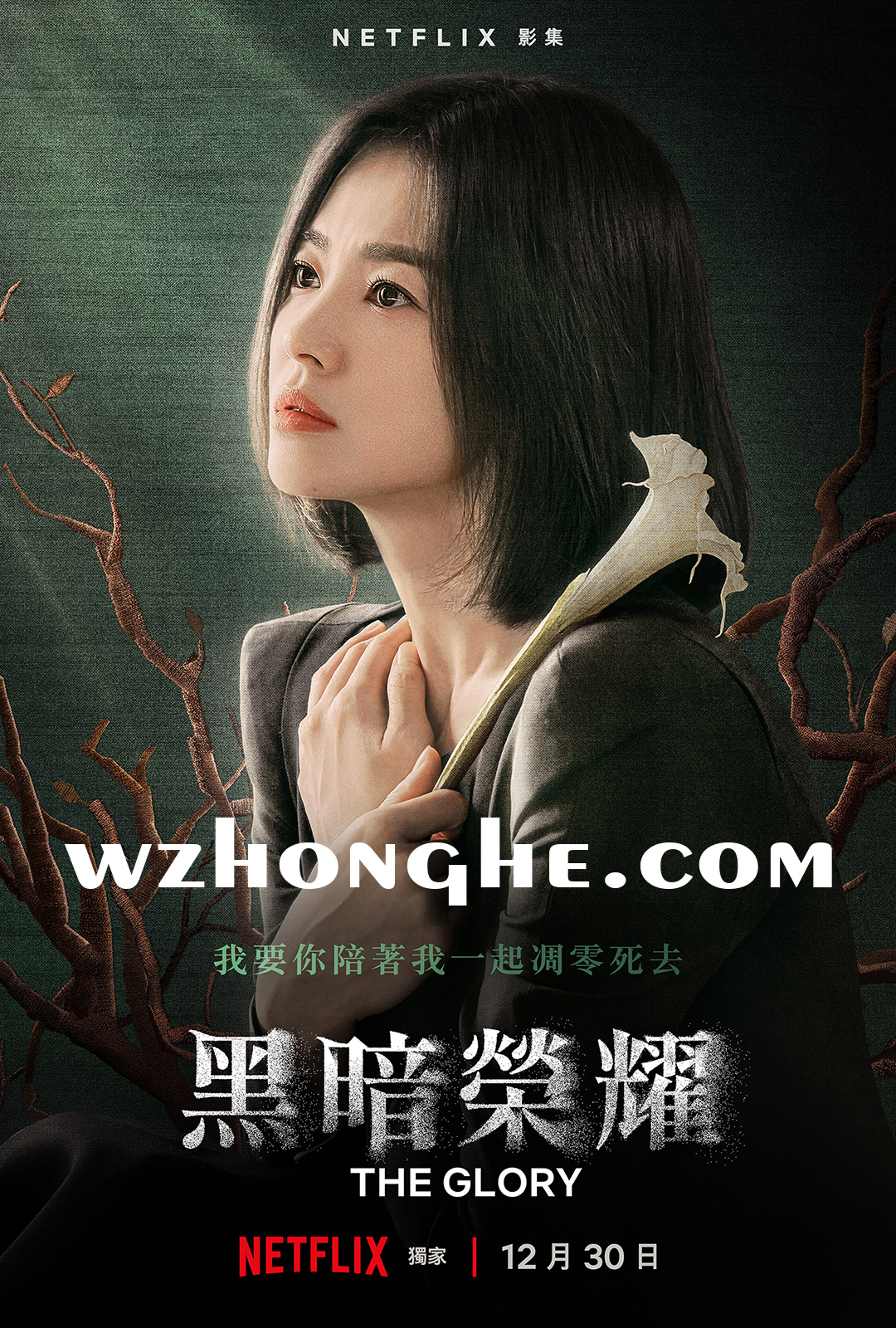 《黑暗荣耀1》- 无中和wzhonghe.com -1
